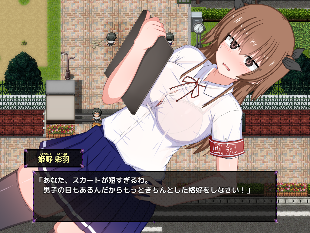 DDCMDS_screenshot